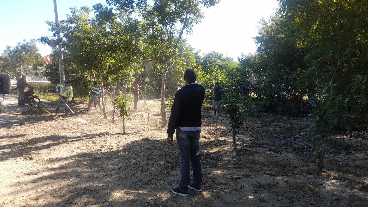 Operativo de Limpieza