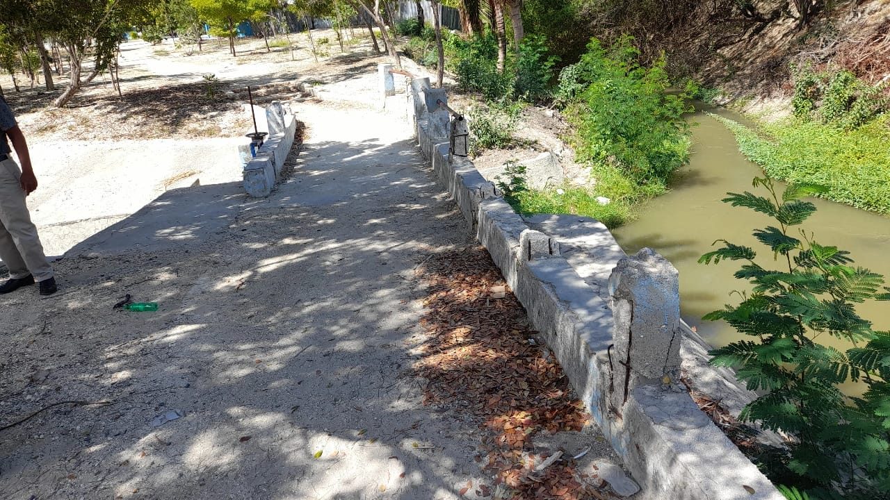 Preparacion y Construccion del Puente Peatonal del Sector El Japon